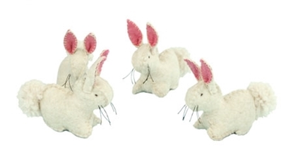 Vier witte konijnen. De binnenkant van de oren  zijn roze.