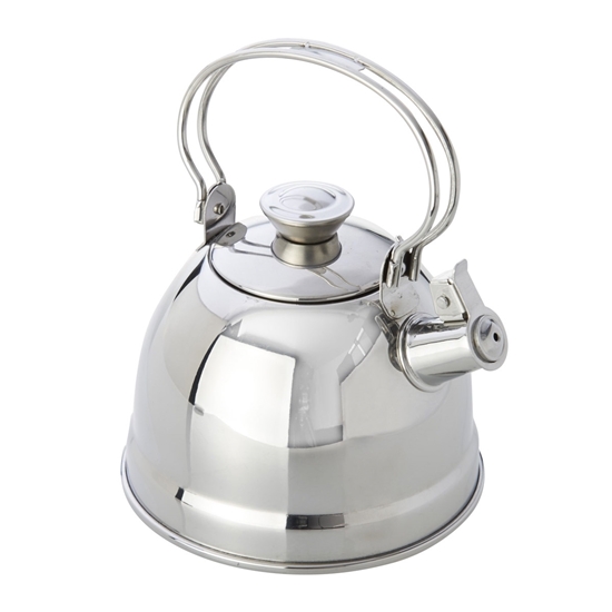 https://www.toyestate.com/content/images/thumbs/0001160_stainless-steel-kettle-with-whistle_550.jpeg