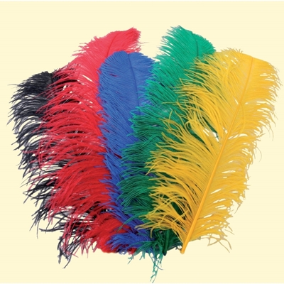 Een boeket struisvogel pluimen in 5 kleuren zwart, rood, blauw, groen en geel