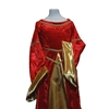 Lang rood fluwelen prinsessenkleed kind met gouden details